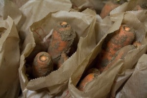 Carottes pleine terre La Ruche qui dit oui consommer local- chicon choc blog de bonnes adresses lilloises