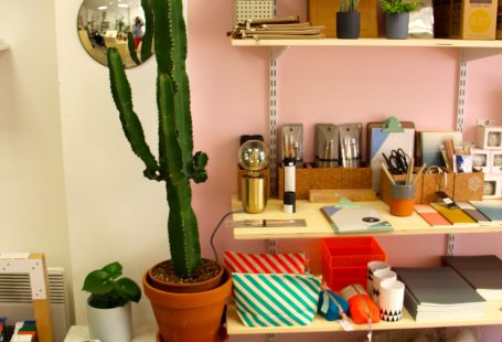 plante cactus Atelier Kumo design shop magasin objet deco lille chicon choc blog lille