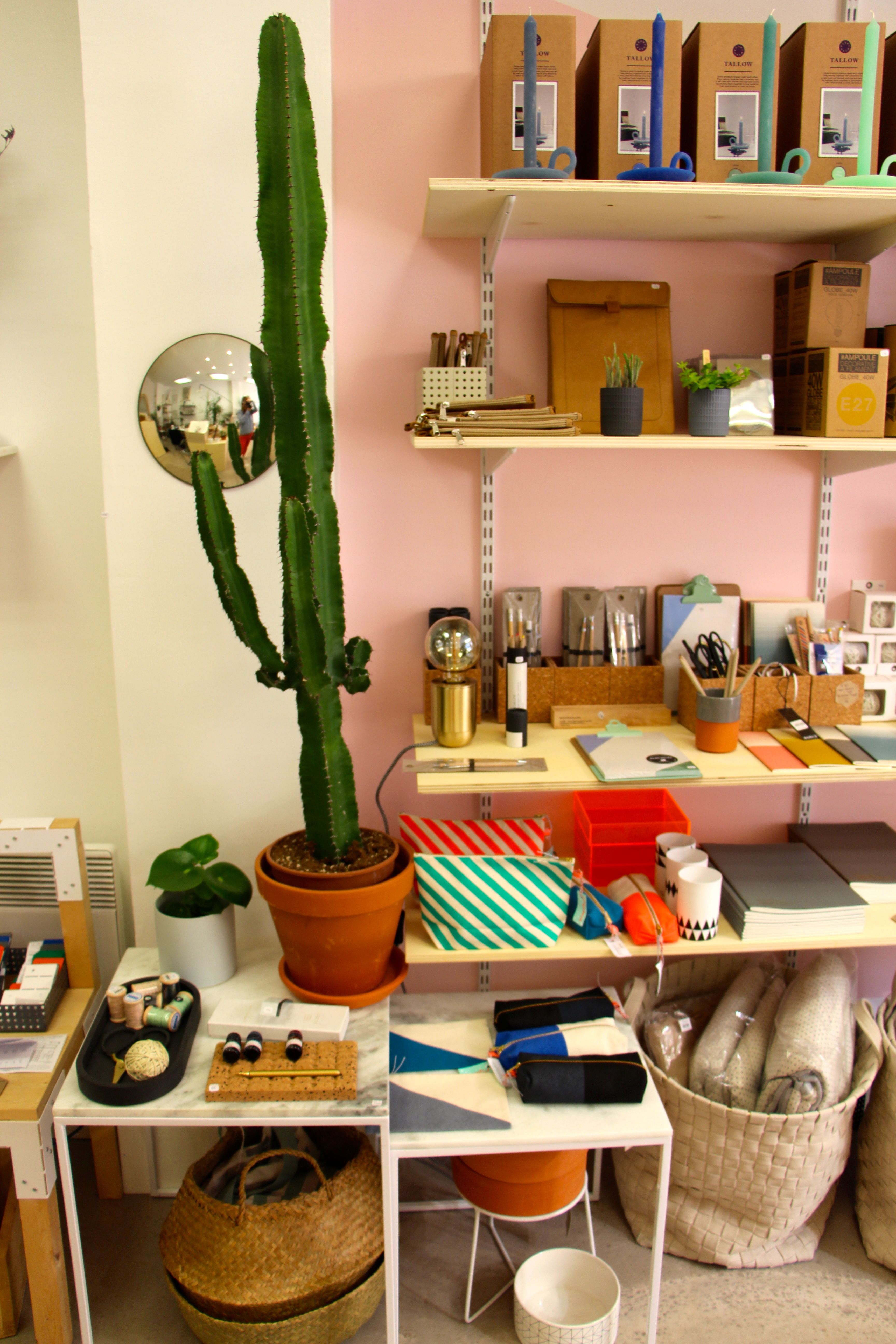 plante cactus Atelier Kumo design shop magasin objet deco lille chicon choc blog lille